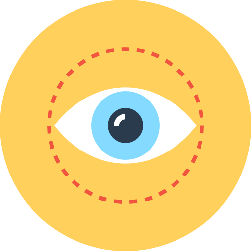 Vision